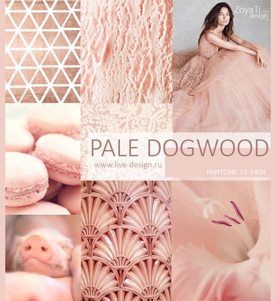 Pale Dogwood pantone color trend for spring 2017