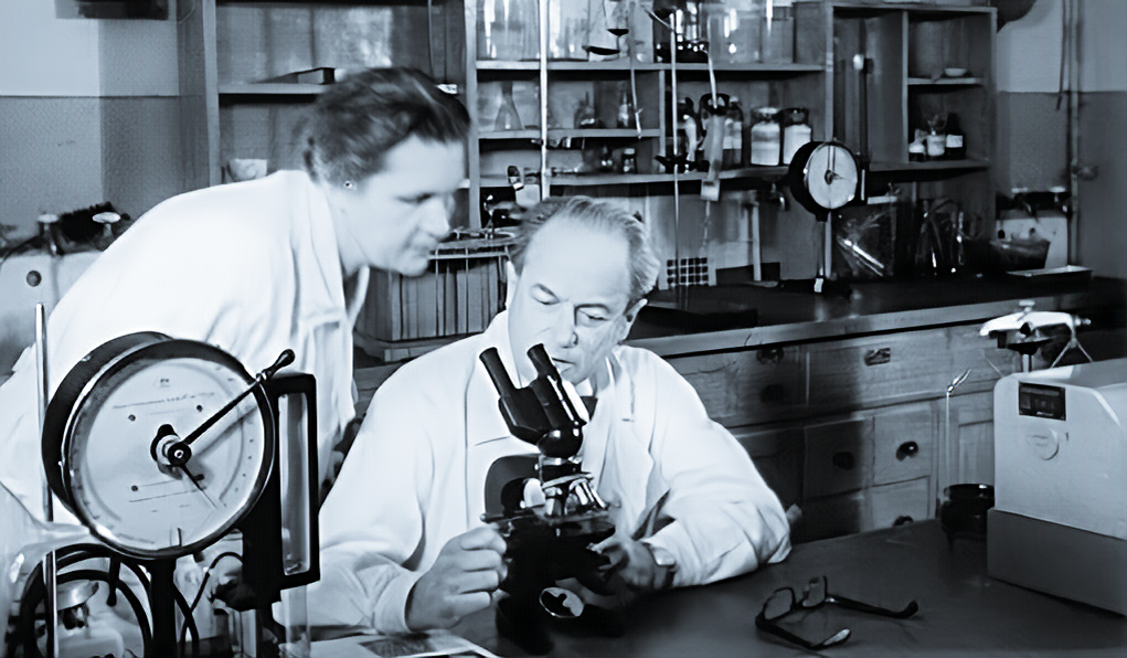 З. Ермольева часто помогала супругу проводить научные изыскания.