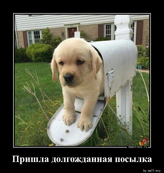 Традиционная коллекция фотоприколов для любителей демотивирующих картинок! 