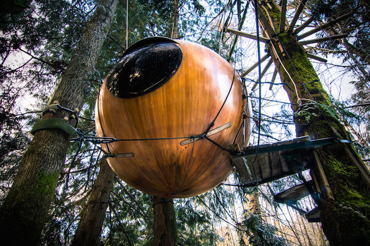 Этот канадский отель со сферическими домиками предлагает вам спать на деревьях Отель, дизайн, креатив