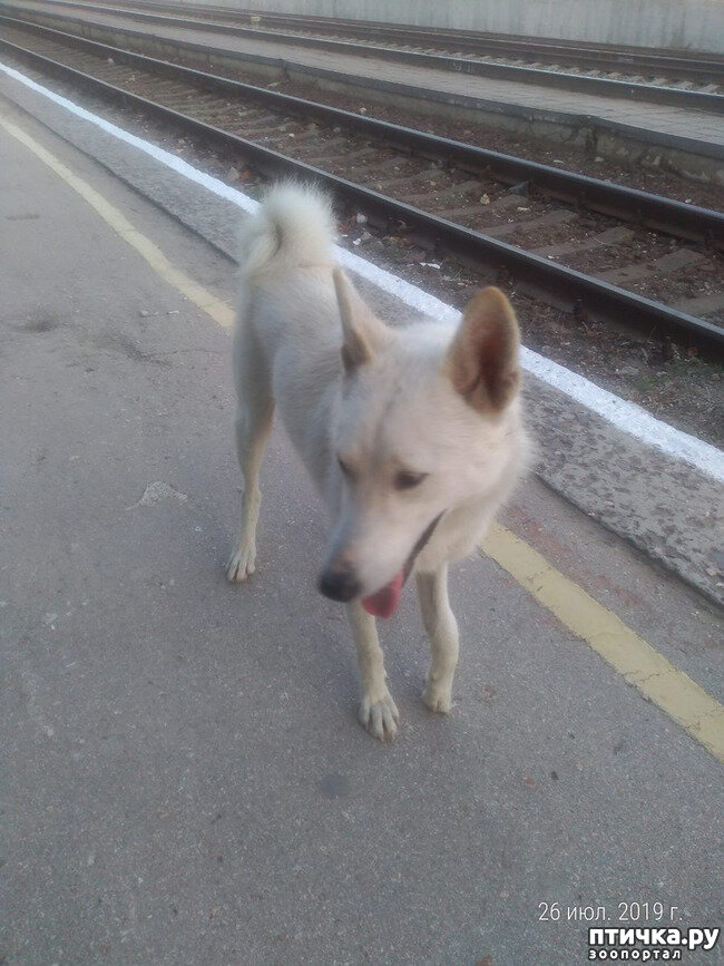 История со счастливым концом 