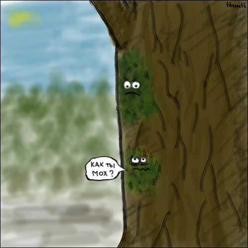 Икра слов Икра слов