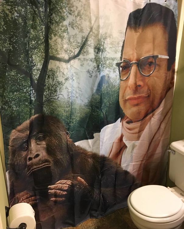 Лучшая шторка для ванны алкоголь, опьянение, покупка