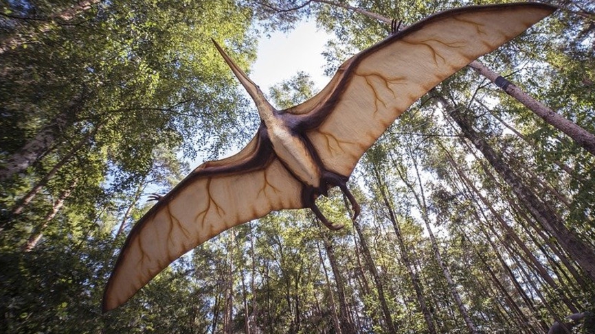 Sasapost перечислил пять массовых вымираний в истории Земли