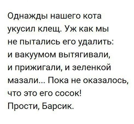 Текст с картинками смешные, поздравлениями