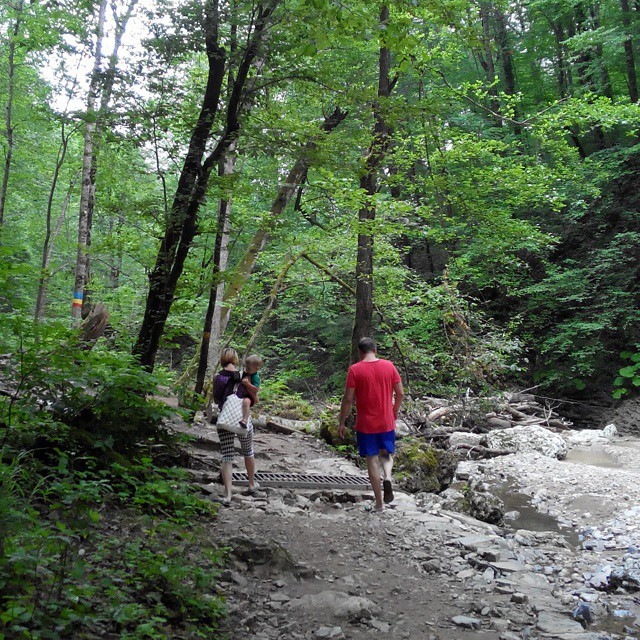 Британские ученые выяснили, что скоро мужики окончательно вымрут женщины, мужчины, прикол, юмор