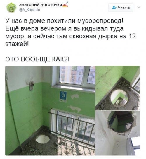 Прикольные картинки дня (50 шт)