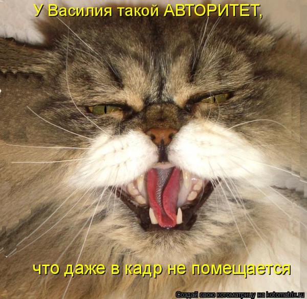 Мысли вслух :)