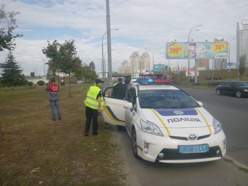 В Киеве провели масштабную операцию по спасению лося днепр, добро. люди, животные, киев, лось, спасение