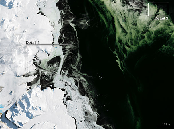 Как позеленела Антарктида: фото со спутника