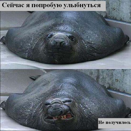 Мысли вслух :) Мысли вслух :)