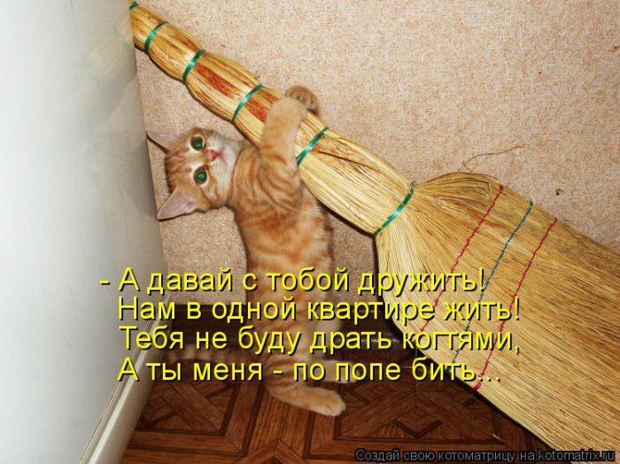 Мысли вслух :)