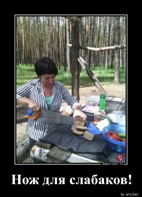 Традиционная коллекция фотоприколов для любителей демотивирующих картинок! 