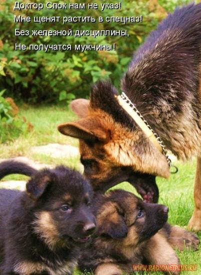 Давайте улыбаться вместе! :) Давайте улыбаться вместе! :)