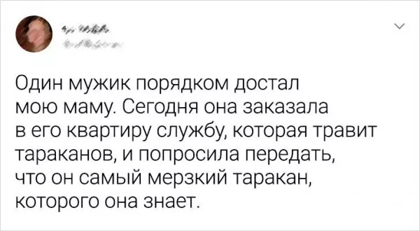 Подборка забавных твитов о сладкой мести