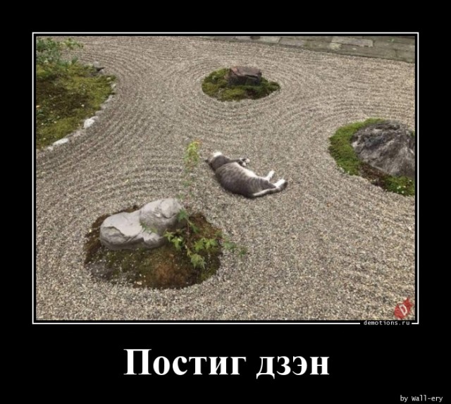 Традиционная коллекция фотоприколов для любителей демотивирующих картинок! 