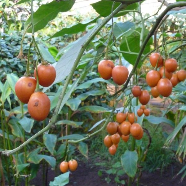 42640136_images_7910225271 42640136 images 7910225271