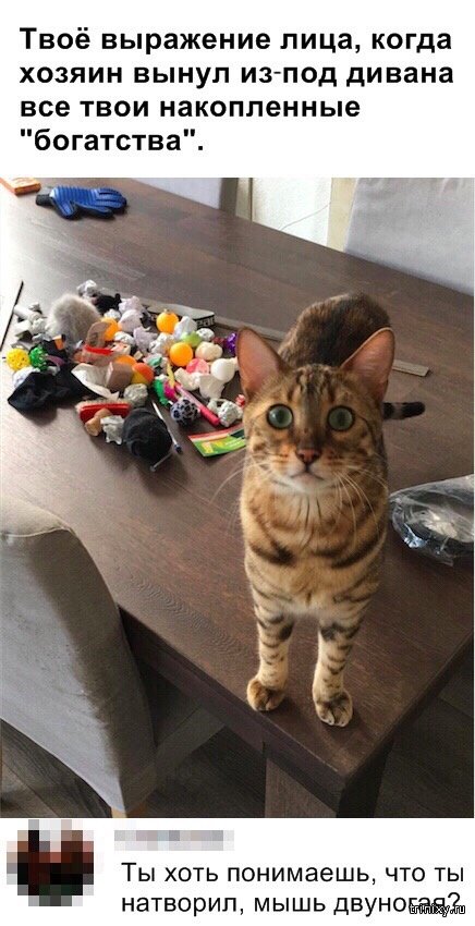 Подборка прикольных картинок  смешные картинки