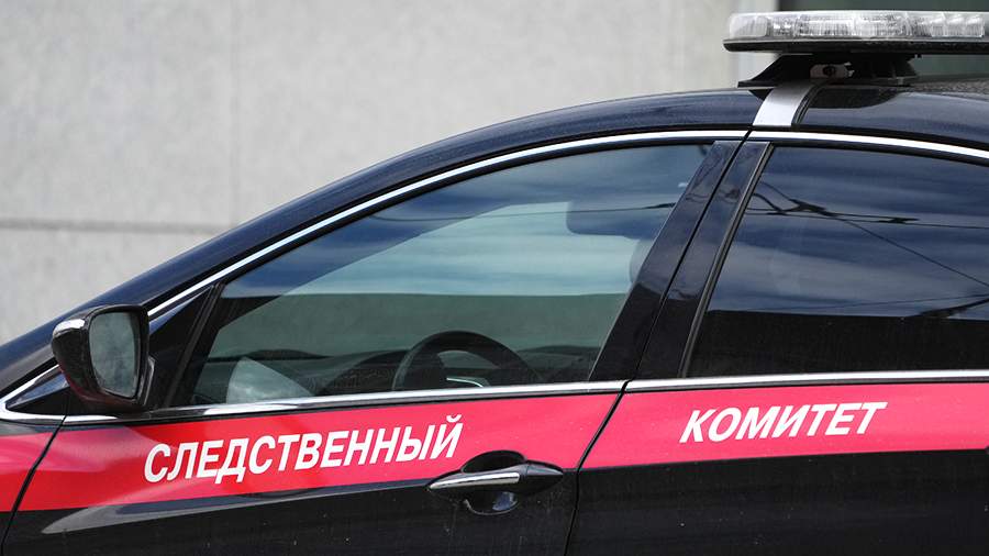 СК возбудил дело по факту обнаружения тела младенца в Петербурге