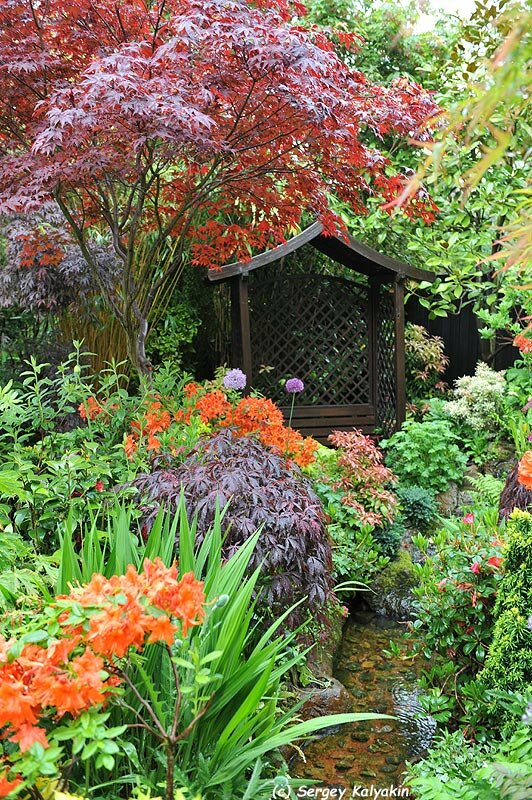 Самый яркий сад Англии растений, когда, всегда, Когда, хорошо, форму, растения, время, через, сильно, ручей, хвойные, больше, очень, части, вместе, Просто, такой, другие, садовых