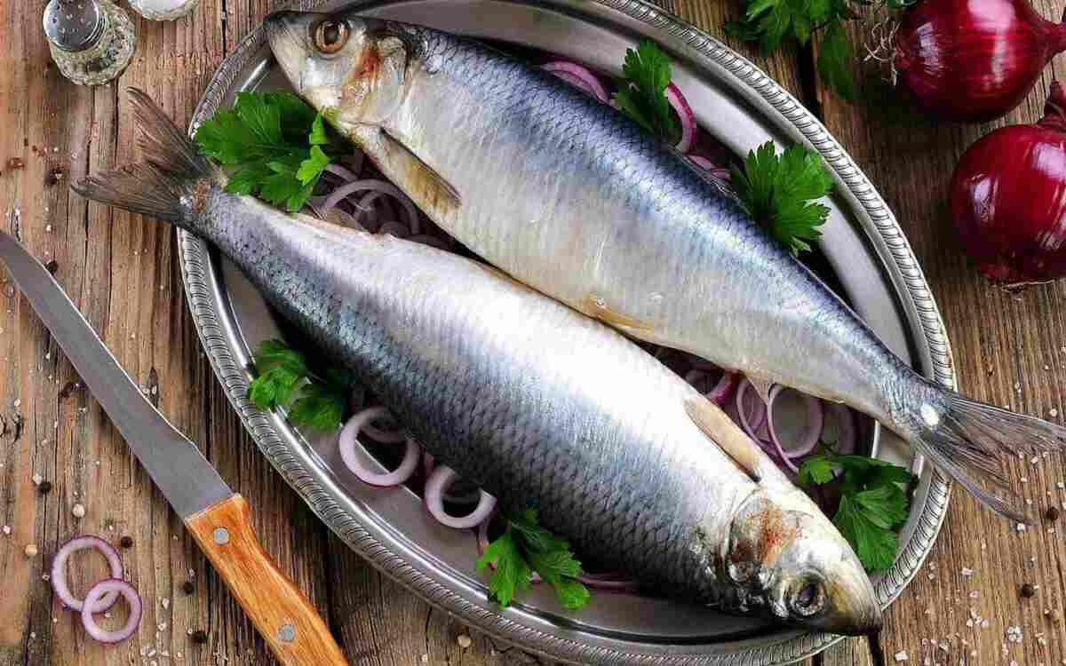 Как выбрать селедку с икрой Как выбрать селедку с икрой