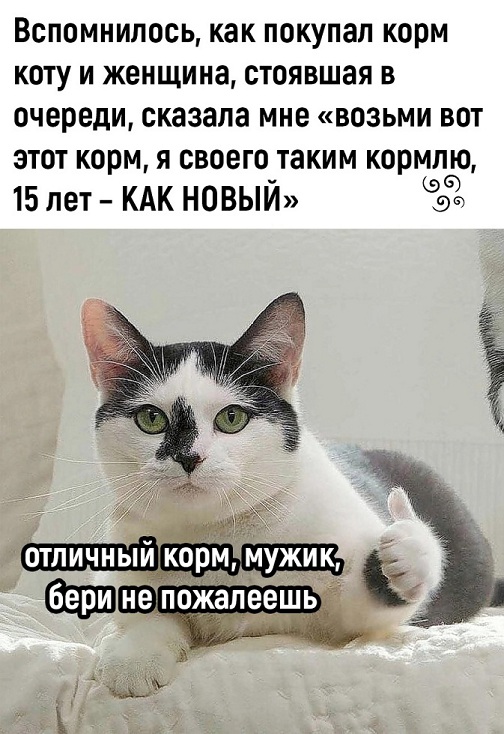 Отборный юмор для Вас! Отборный юмор для Вас!