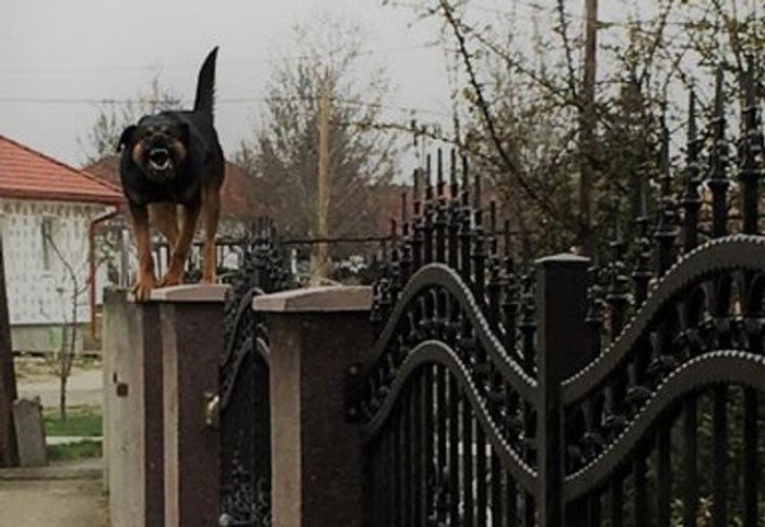 18 человек, чье терпение нужно срочно отправить в ремонт 