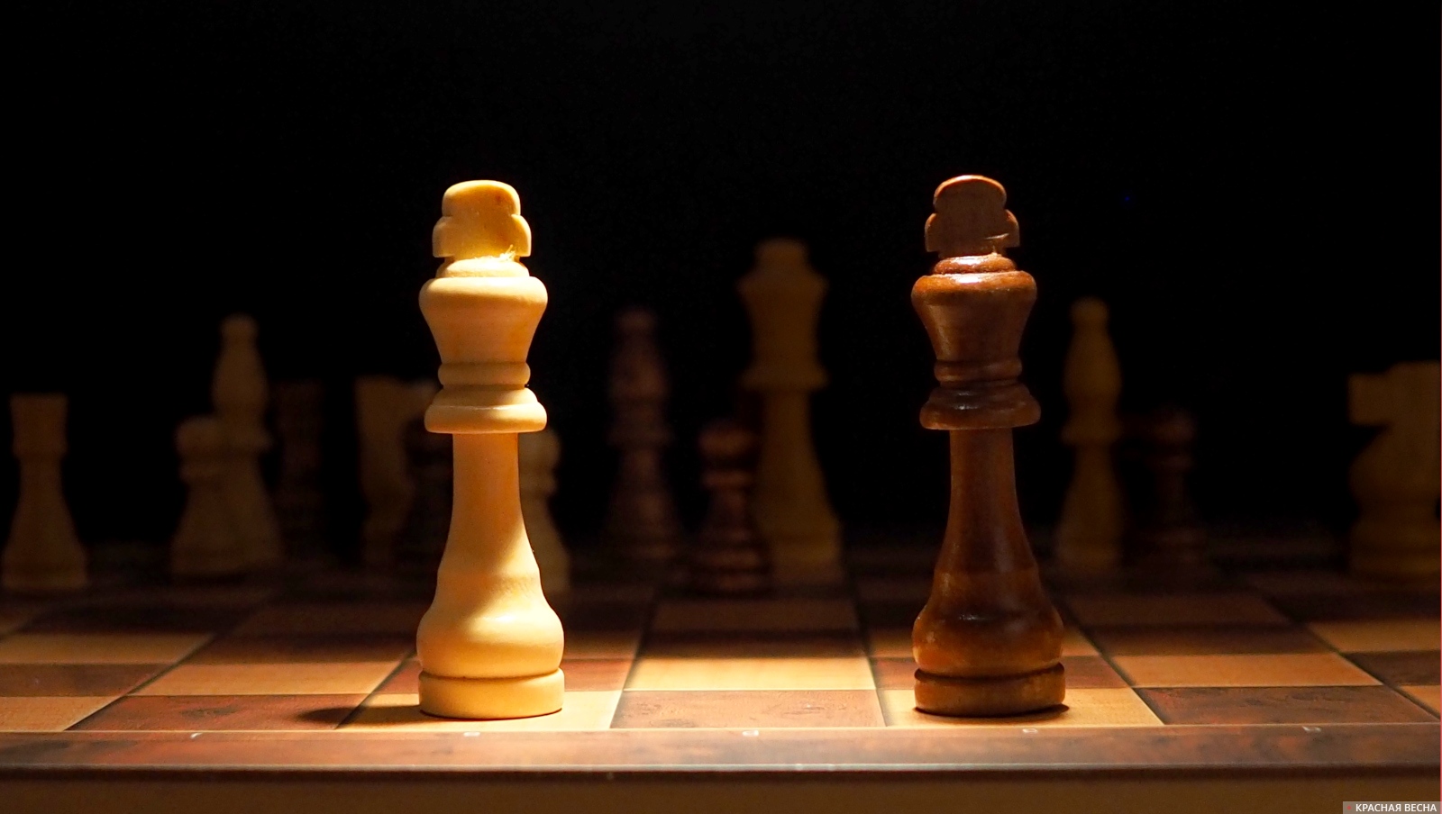 Сыгран пятый тур международного шахматного турнира в Барселоне
