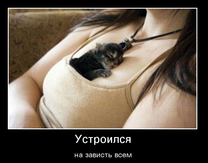 Веселые демотиваторы про девушек (11 фото)