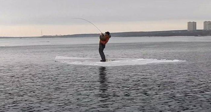 Подборка картинок. Дневной выпуск (53 фото)