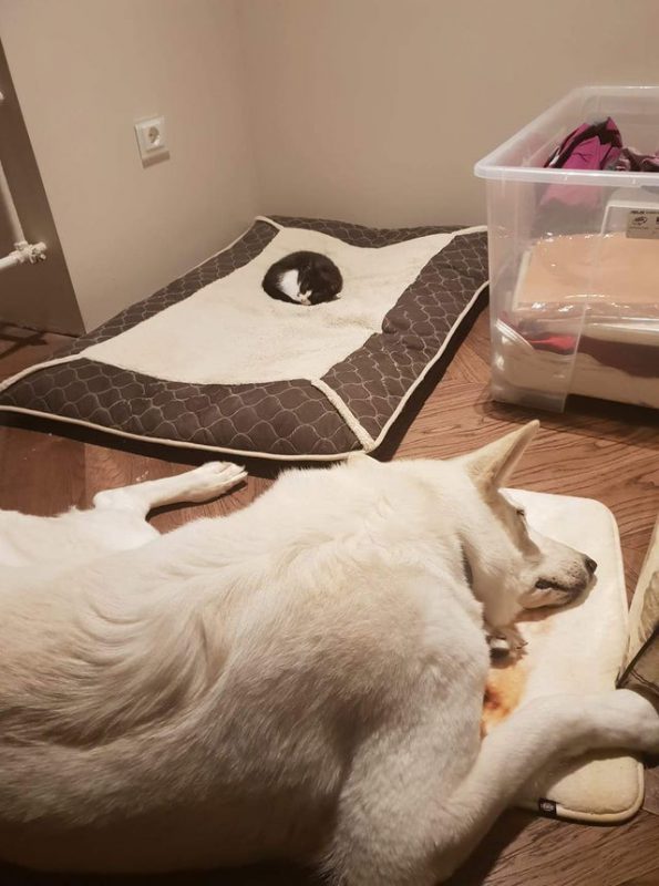 Мимишные фото от которых на душе станет теплее