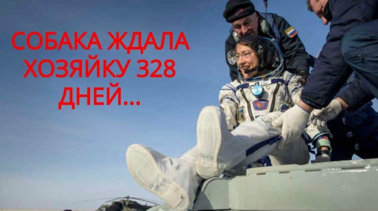 BeFunky-collage (13)