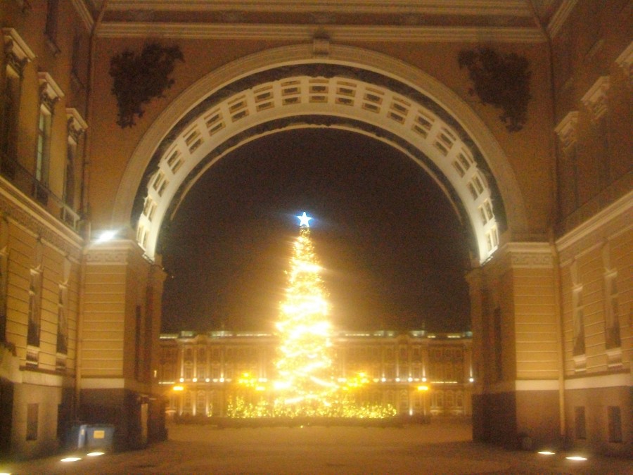 Новогодние елки  Петербурга