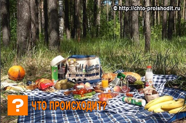 Подарки на 23 февраля: Пикник