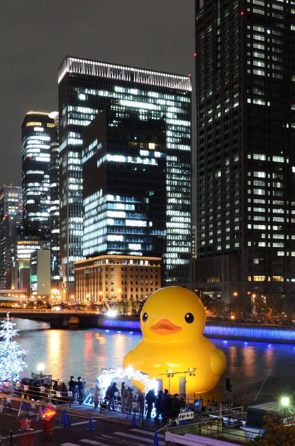 Забавные картинки для хорошего настроения Забавные картинки для хорошего настроения животные,жизнь,звери,земля,котики,коты,курьезы,мир,питомцы,планета,приколы,природа,смешное,собаки,факты,фауна,флора,щенки,юмор