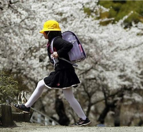 12 здоровых привычек японских детей.