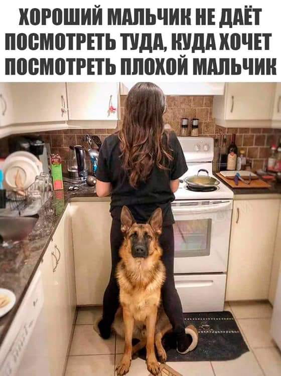 Встречаются два фермера анекдоты