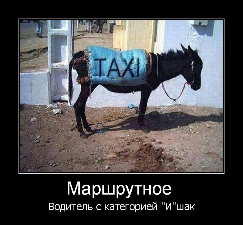 Езидские прикольные картинки, для родителей