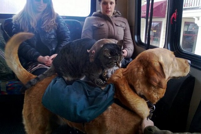 С добрым утром!