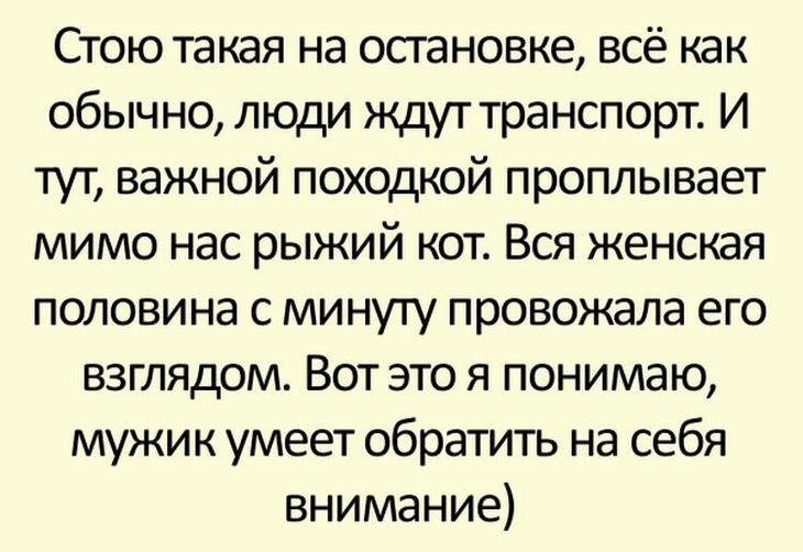 15 жизненных коротких и смешных историй от интернет-пользователей 