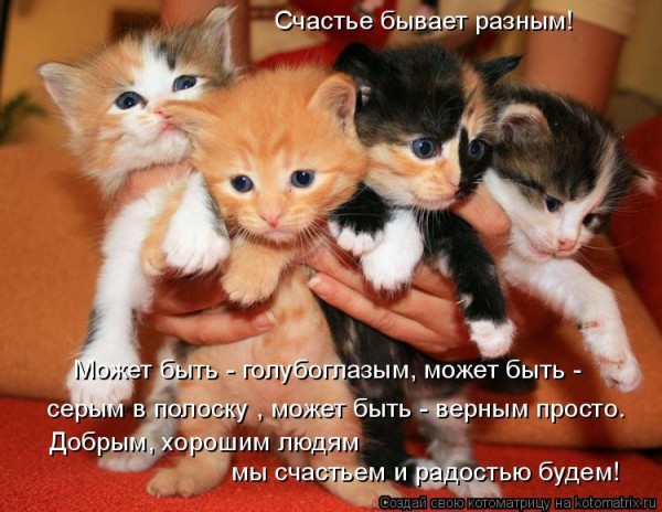 Мысли вслух :)