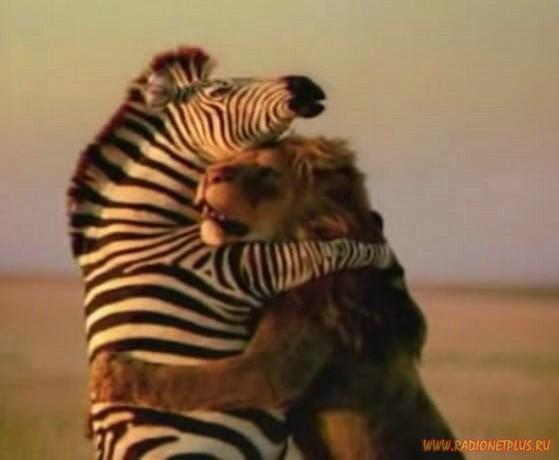 Давайте улыбаться вместе! :) Давайте улыбаться вместе! :)