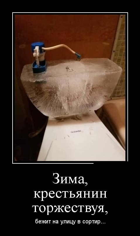 Демотиваторы 11 февраля 