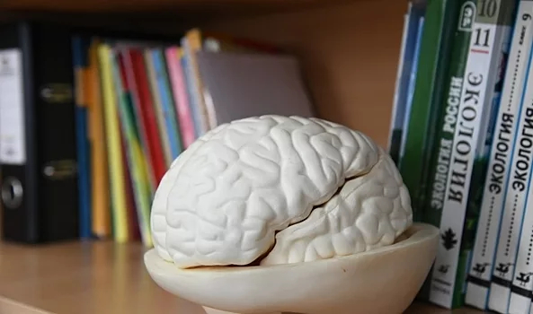 Ученые узнали, как улучшить работу мозга за три минуты