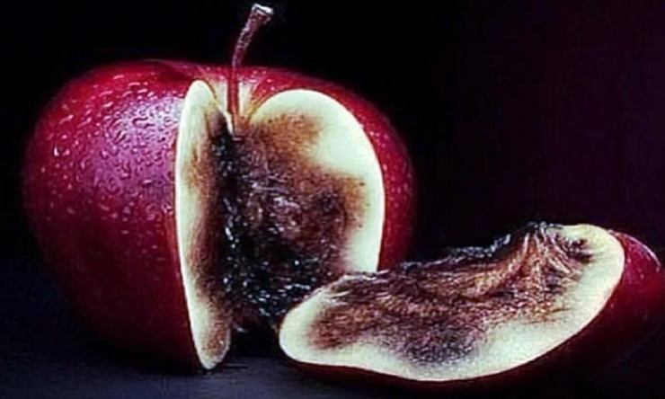 Горькие плоды сладких мечтаний. Горькие плоды сладких мечтаний. геополитика