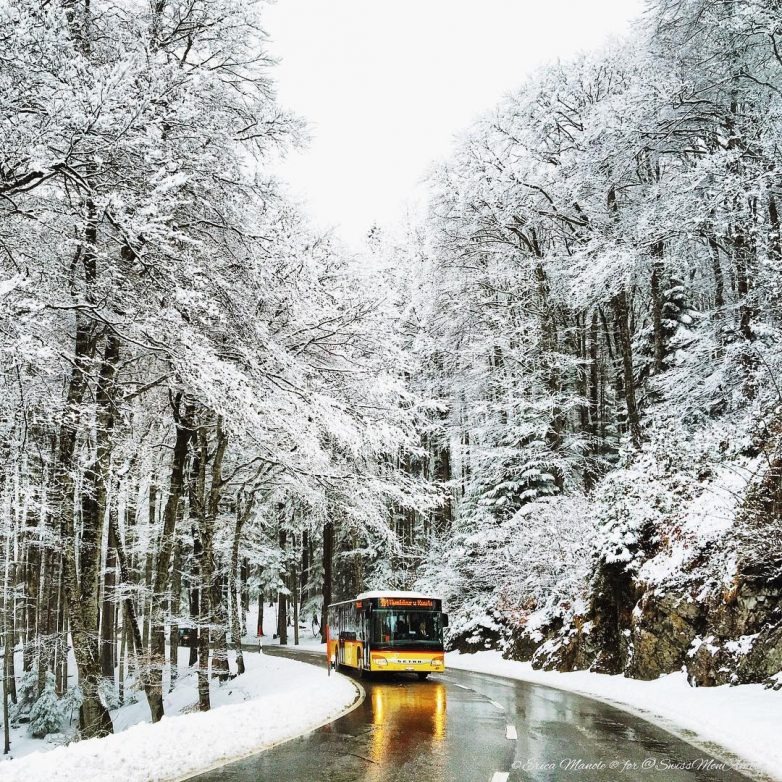 Наша прекрасная планета Наша прекрасная планета