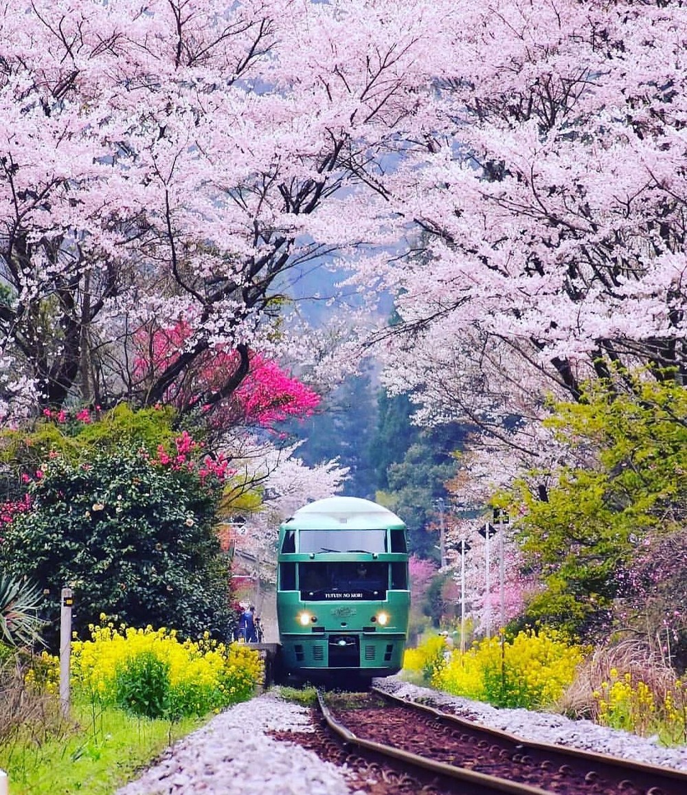 Забавные картинки для хорошего настроения Забавные картинки для хорошего настроения животные,жизнь,звери,земля,котики,коты,курьезы,мир,питомцы,планета,приколы,природа,смешное,собаки,факты,фауна,флора,щенки,юмор