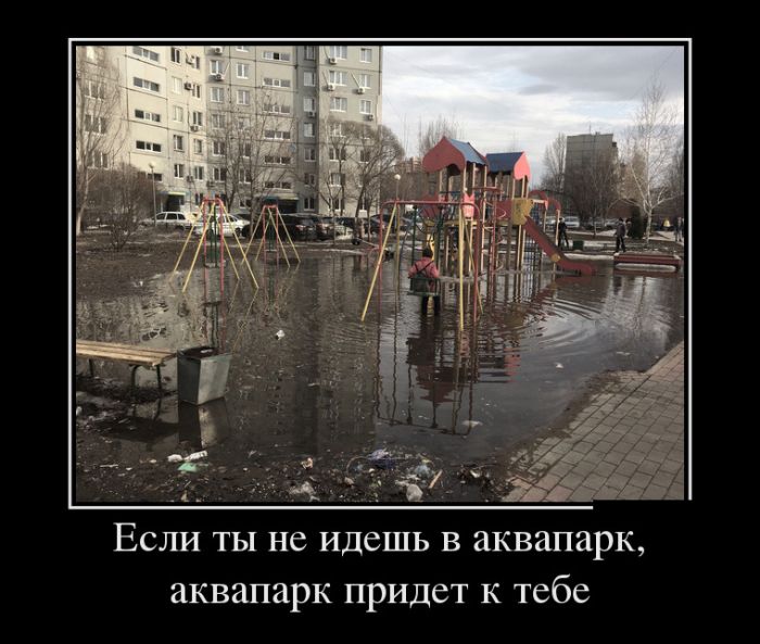 Пятничные веселые демотиваторы (11 фото)