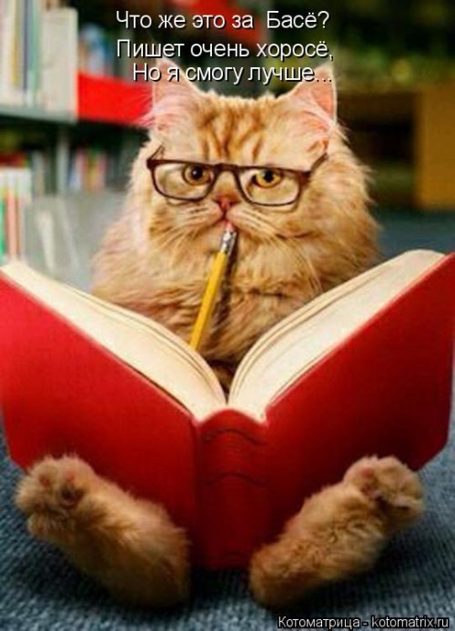 Свежая котоматрица  смешные картинки