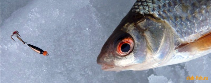 Ловля на чертики с подвесными крючками